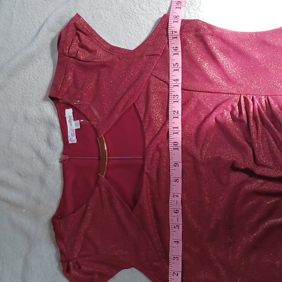 Triuhuology Women's Dress Size 10 Shimmery Red Dress With Ruching NWOT.   - Picture 5 of 11